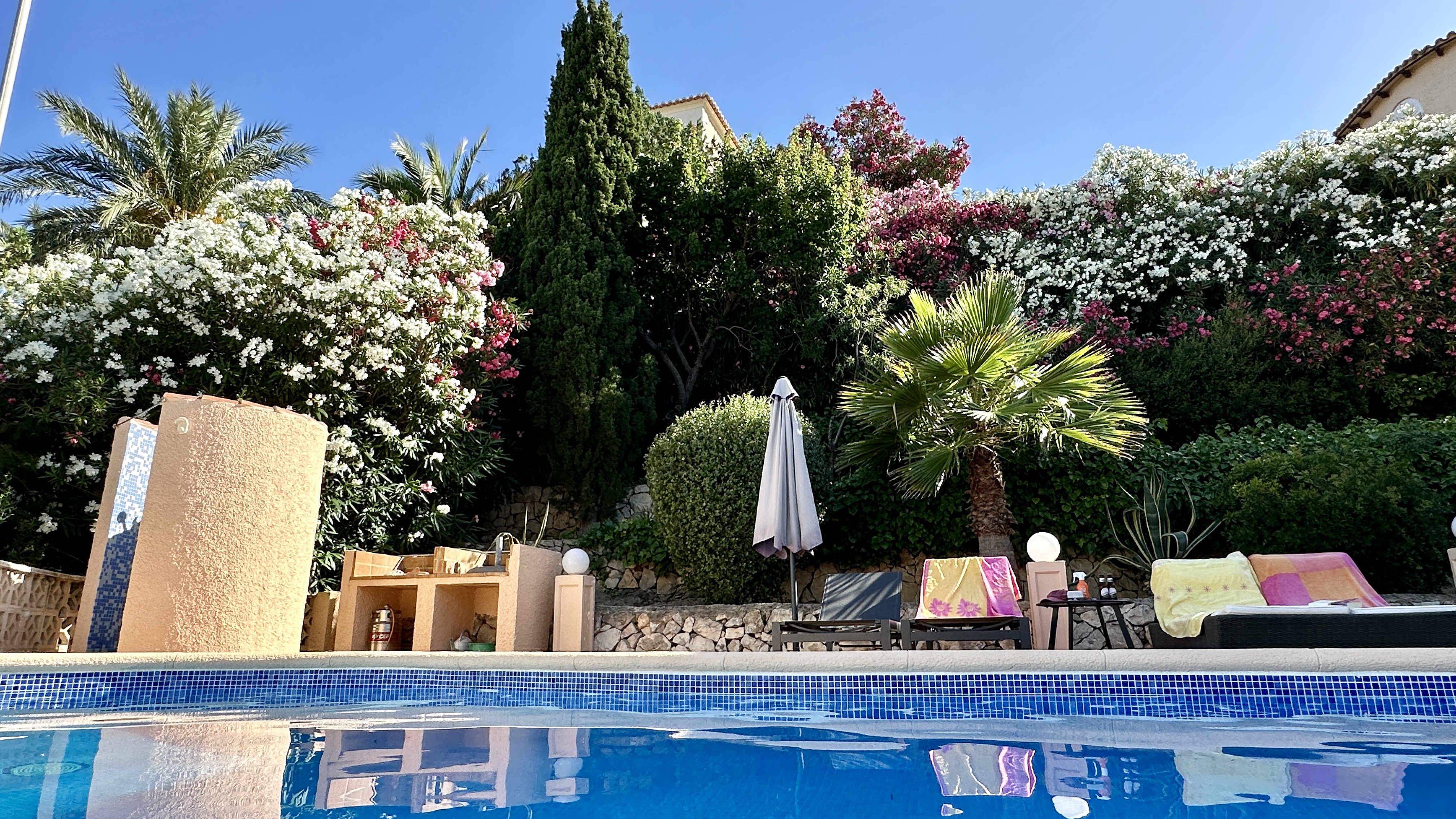 Pool von oben